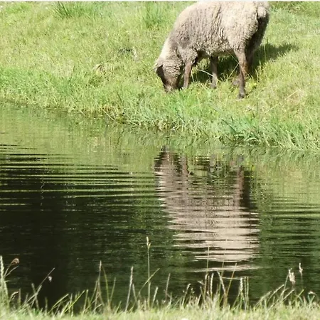 6 Person In Hovborg-by Traum *