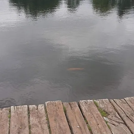 6 Person In Hovborg-by Traum Hovborg